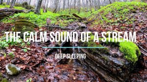 The calm sound of a stream, in the forest in autumn for sleep, relaxation, meditation 4k deep sleep