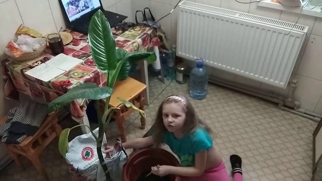 Маруся садит цветок часть 1 смотреть онлайн