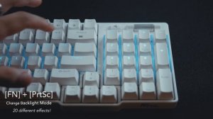 Royal Kludge RK96  Backlight Demonstration
