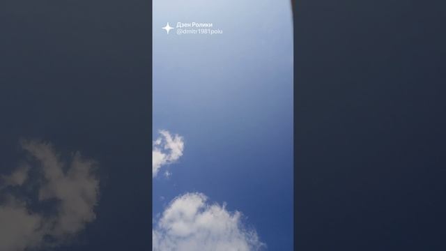 КРИК ОХОТНИЧЬЕГО ПРОМЫСЛОВОГО ФАЗАНА