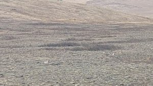 Арын 13 ноедой обоо. 4