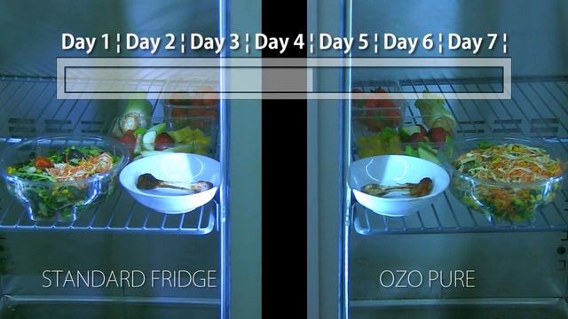 Ozopure - Time-lapse video Ozone Generator vs none Ozone Fridge - Food benefits comparison смотреть онлайн