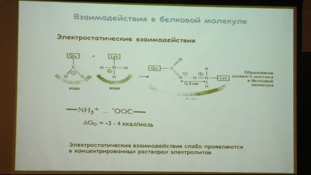 Клячко Н. Л. - Механизмы ферментативного катализа - Общая информация про ферментативный катализ