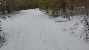 Бездействие полиции вынуждает действовать людей.