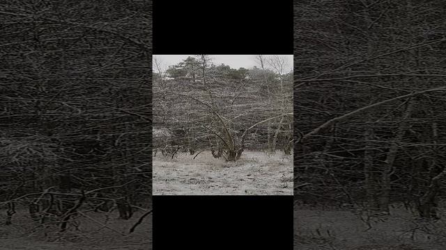 Любимое место