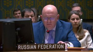 EOV by Amb. Vassily Nebenzia on a UNSC Draft Resolution on the Middle East