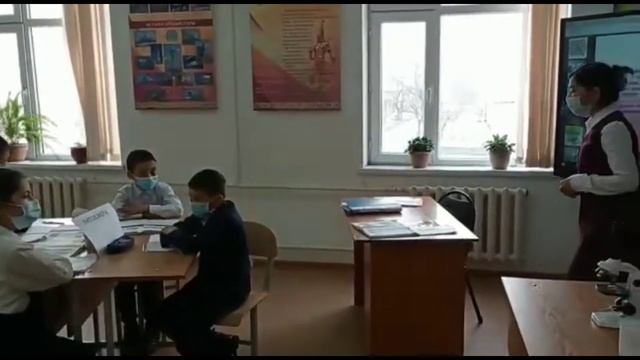 Тірі ағзаларды микроскопиялық зерттеу