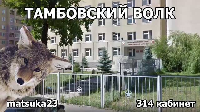 Matsuka23  Тамбовский волк