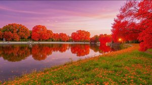 "Затмила осень лето и весну"