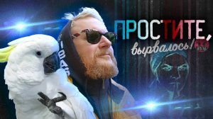 22.11.24 | “Простите, вырвалось!” №107 | Новости | Пояснительная Бригада выехала