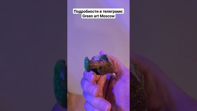 https://t.me/greenartmoscow/1398?single