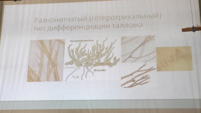 Белякова Г. А. - Низшие растения - 1. Альгология. Типы размножения водорослей