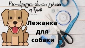 Лежанка для собаки. Реставрируем
