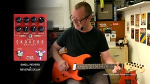 Flamma: EKOVERB Delay & Reverb. Chatty Demo