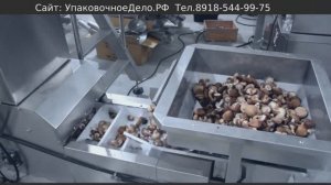 Линия Фасовки упаковки грибов и замороженных продуктов /  упаковочный автомат вертикальный