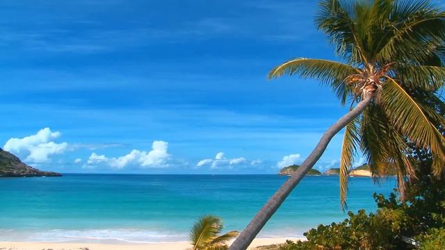 432 Hz Meditation Healing Peace Soothing Music