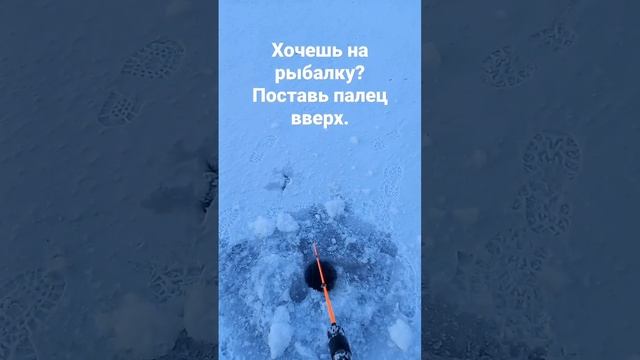 Хочешь на рыбалку? #shorts