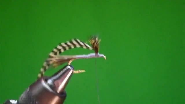 FTF-25Feb22-Water Walker & F8 Parachute смотреть онлайн