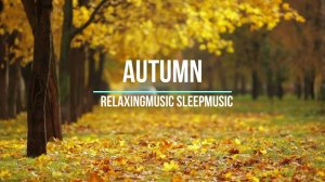 How to enjoy the Autumn season. Relaxingmusic Sleepmusic