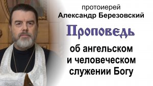 Проповедь об ангельском и человеческом служении Богу (2024.11.20). Протоиерей Александр Березовский