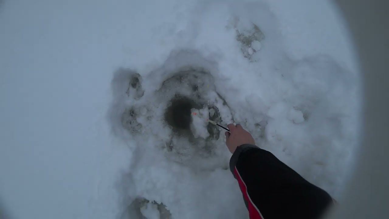 Ловлю хариус на таежной речке. Что то случилось с камерой звук шляпа))) смотреть онлайн