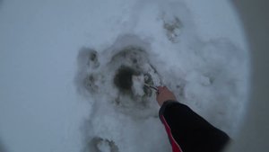 Ловлю хариус на таежной речке. Что то случилось с камерой звук шляпа)))