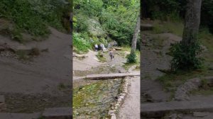 Святые источники в Изборске! источник 12 Апостолов ❤️