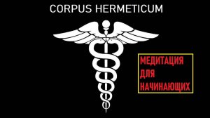 Самая Лучшая Медитация для начинающих от мастеров. HORUS, THOTHMES