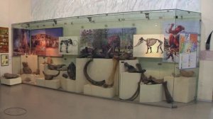 Краеведческий музей часть 3 .  г Сызрань "без прикрас" .