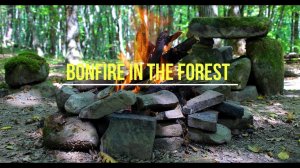 Relax by the fire in the forest 4k