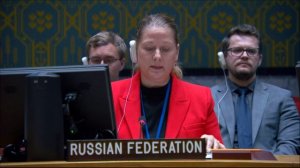 Statement by Maria Zabolotskaya at a UNSC Briefing on ICC investigation of the situation in Libya