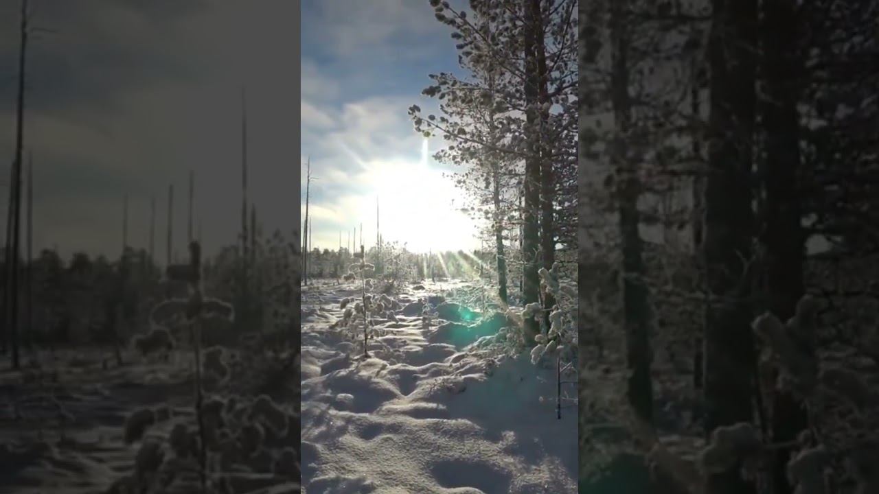 красота смотреть онлайн