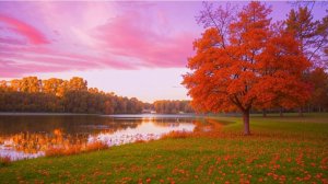 "Я люблю любое время года"