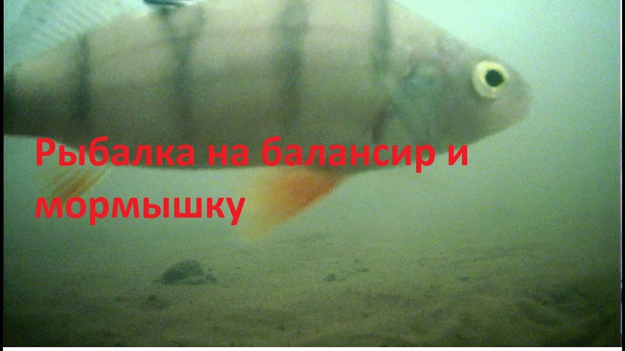 Едем порыбачить на озере. Ловим окуня и щуку смотреть онлайн