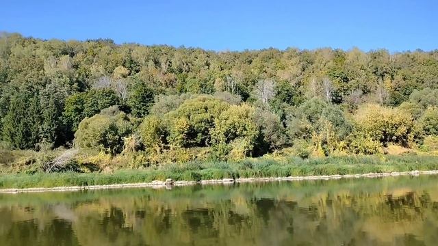 Купить В М Видео Серпухов