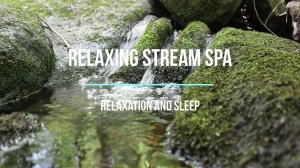 Nature sounds, white noise. Calming Forest Stream . Life living and nature. spa, zen 4k 60fps