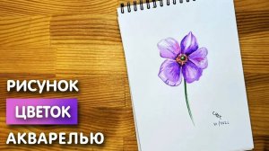 Как нарисовать цветок акварелью начинающим | Рисунок поэтапно и легко для детей