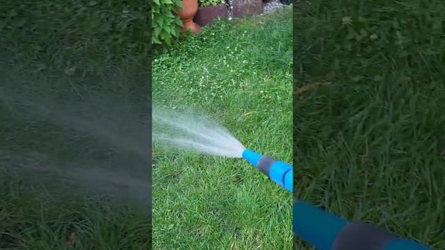 жара, полив каждый день, #лето #вода смотреть онлайн