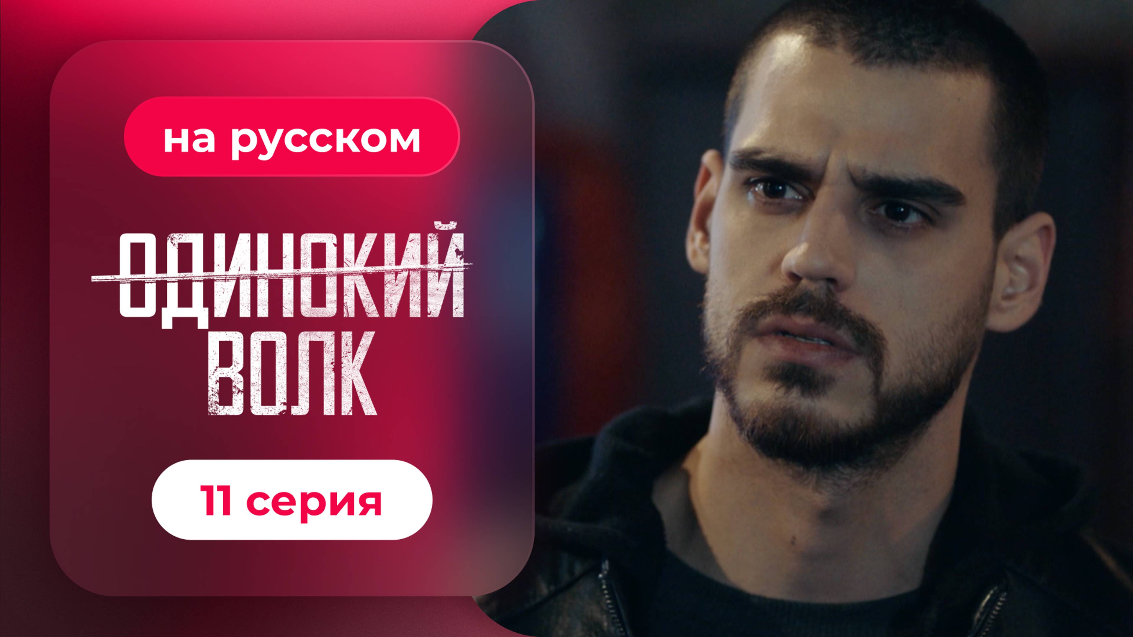 Сериал Одинокий волк — 11 серия | Любимый турецкий сериал