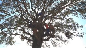 Внешние миры, Внутренние миры - Часть 1. Акаша