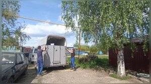 🌹🐎Конь - путешественник!🐴 ✨Rider's notes // Заметки конника🐎
