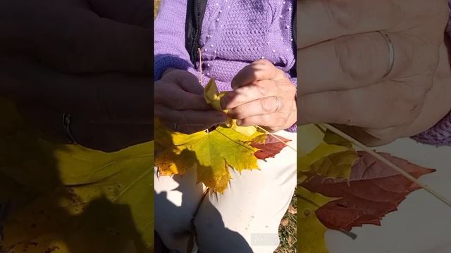 Осенняя пора очей очарование, воскресная  прогулка к речке