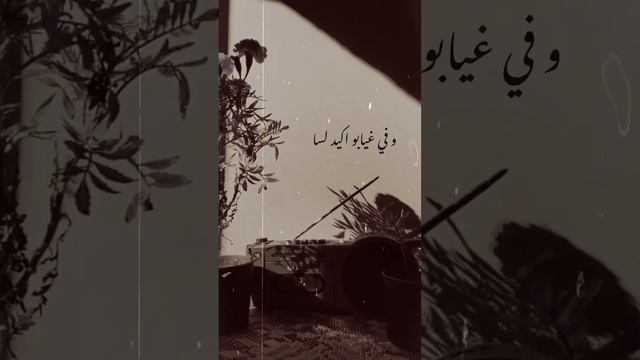 في يوم هنعود #عمرودياب #عمرو دياب #عمرو #قصاد عيني #حب #حُب #amrdiab #amrdiqbworld #amr diab смотреть онлайн