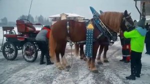 Советские тяжеловозы в баварской упряжи