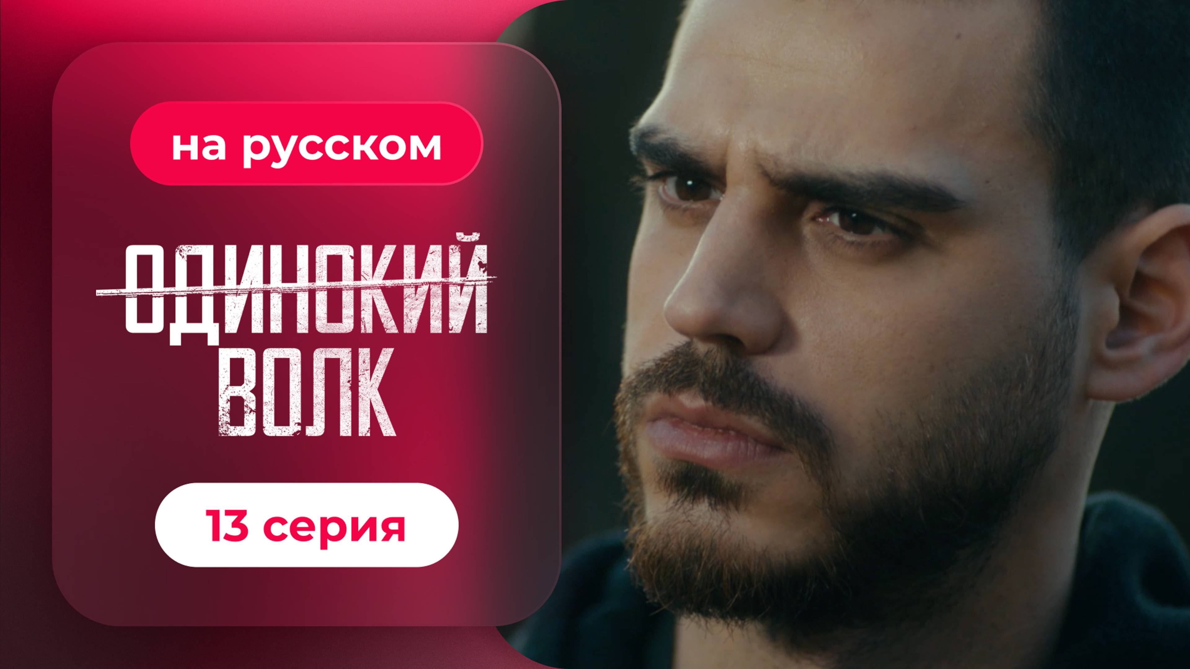 Сериал Одинокий волк — 13 серия | Любимый турецкий сериал