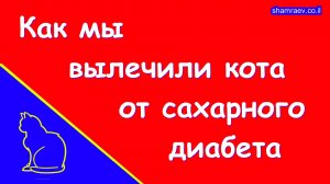 Как мы вылечили кота от сахарного диабета (2024)