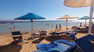 Отель Pickalbatros Palace Resort, 26 декабря 2024 . Отель заполнен на 90% . Отель 10 из 10