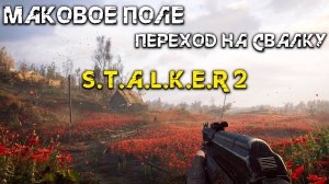 Росту из кепки в матёрого в Stalker 2 - Прохождение игры