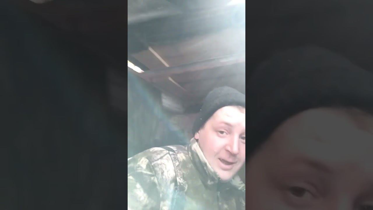 Красивое утро на охоте смотреть онлайн