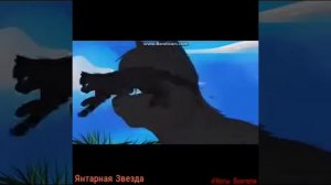 Коты-Воители Листвичка,Сумеречница и Грач - Подруга моя,ты будешь счастлива с ним.